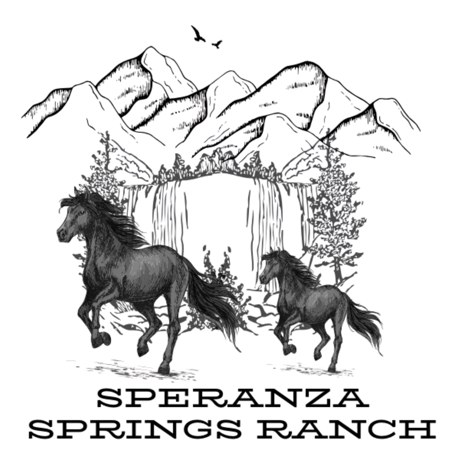 Speranza Springs Ranch Logo
